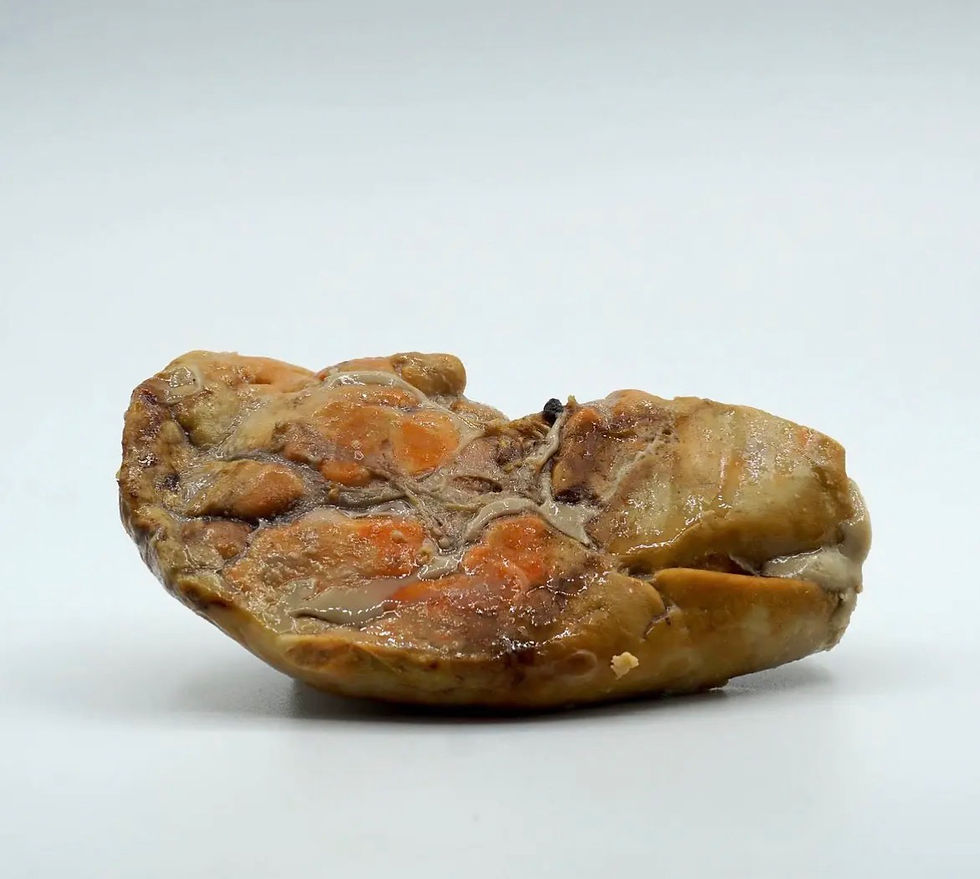 Miniature : Foie de lotte au naturel – Canumi