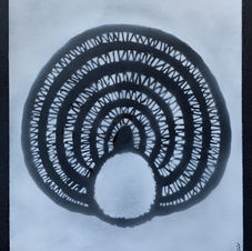 oceania-disegno