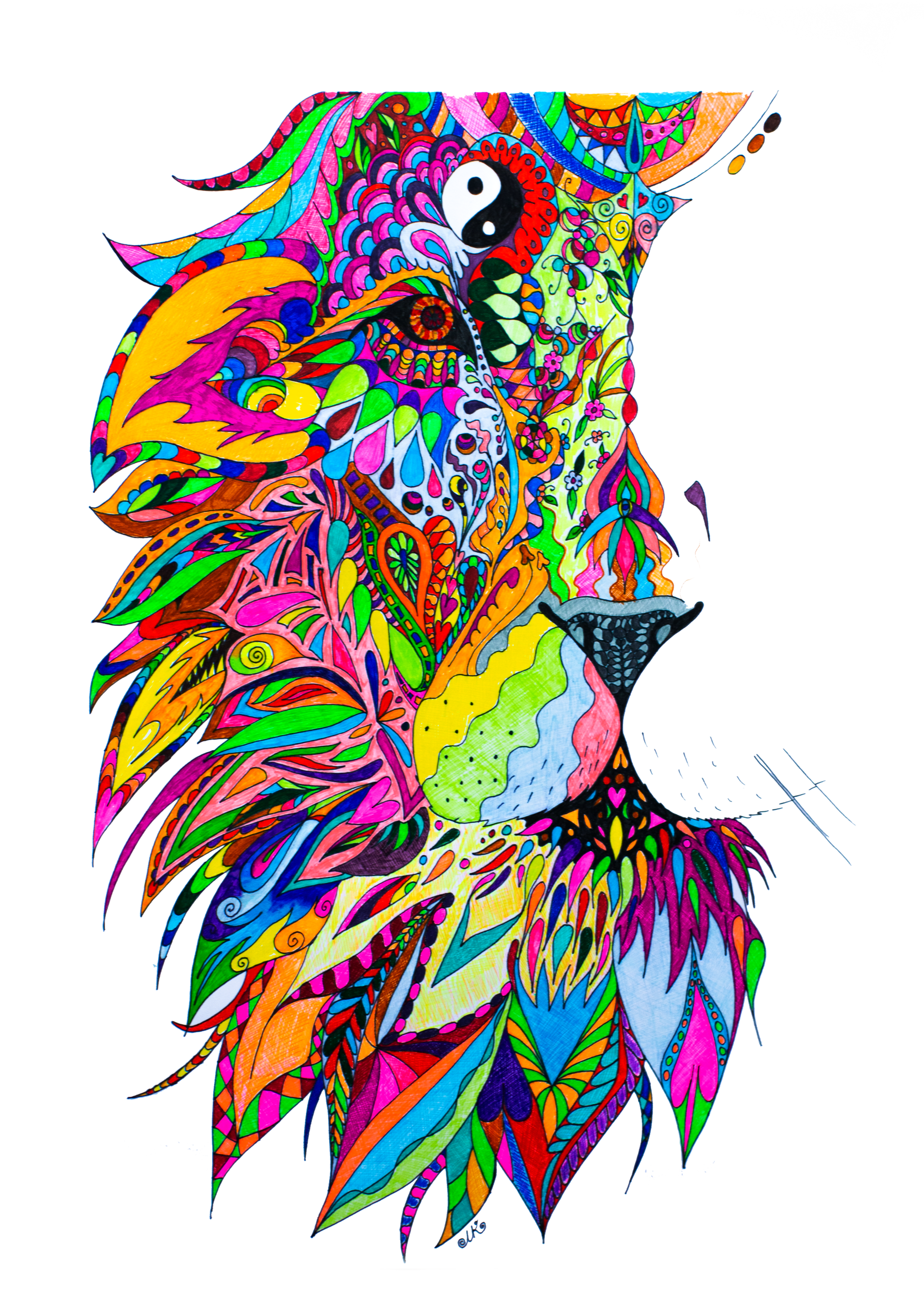 Limited Edition hoodie