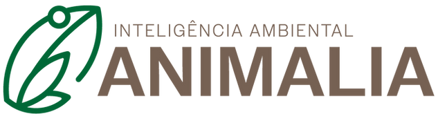 COMPLETO_HORIZONTAL_COLORIDO.png