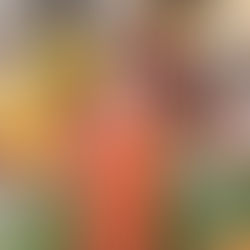 Homemade Grape Vinegar