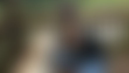 Husky With Scenic Waterfalls