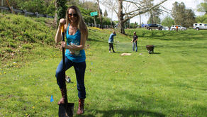 Planting Native Foraging Trees Hancock MD