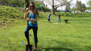Planting Native Foraging Trees Hancock MD