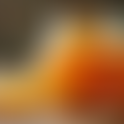 Orange Peel and Vinegar Multi surface Cleaner