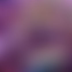 tomato seedlings ready for transplant