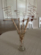 electroculture copper rods for garden