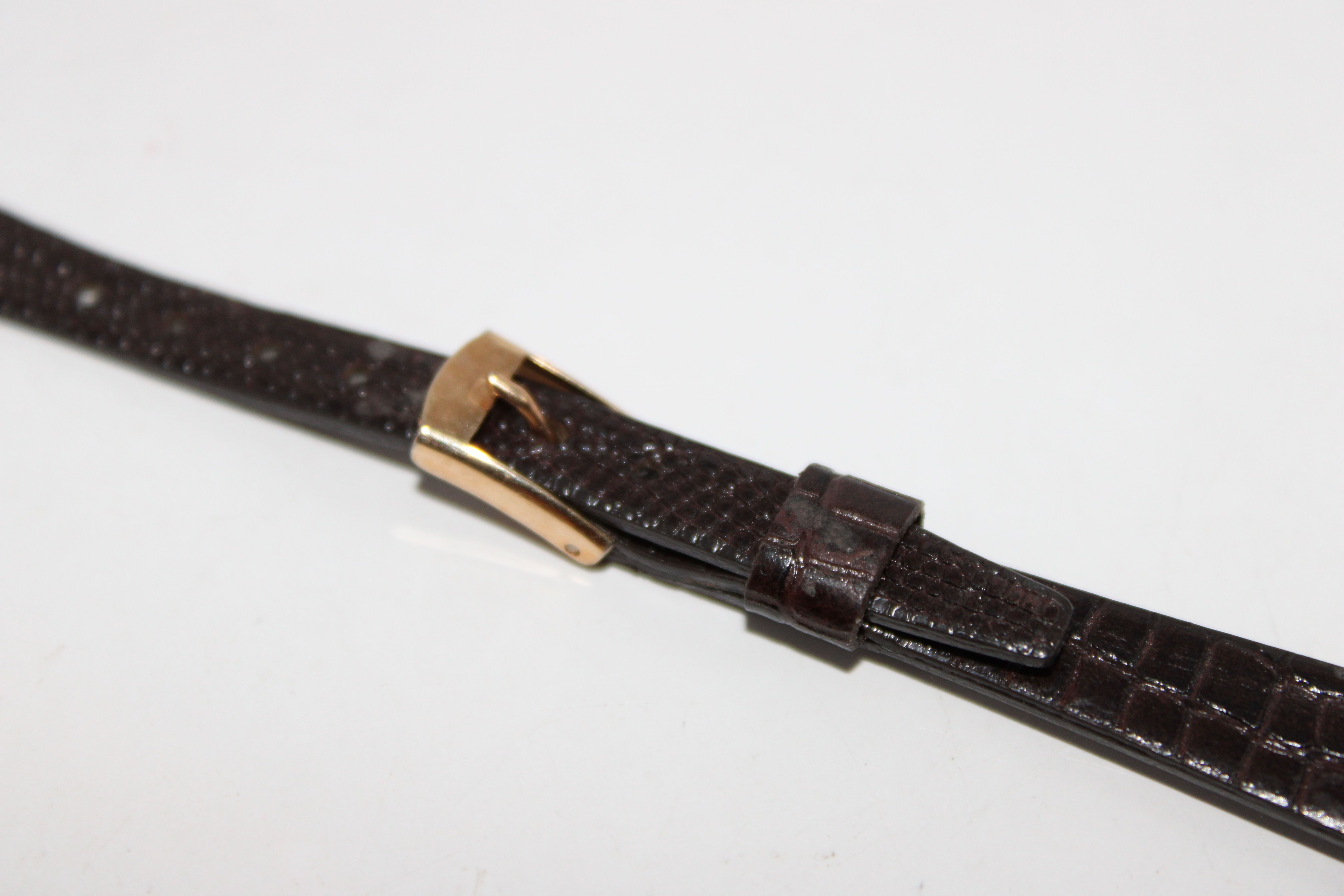Dainty Tapered Brown Snakeskin Gold Tone Buckle Watch Band