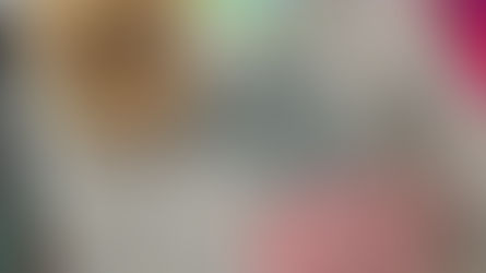 frozen dog treats in hear shape trays