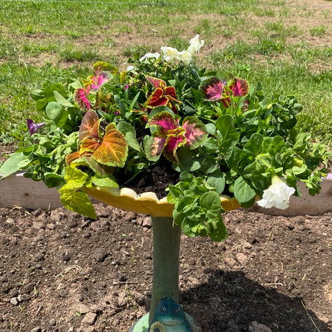 Kicking Off Summer 2022!