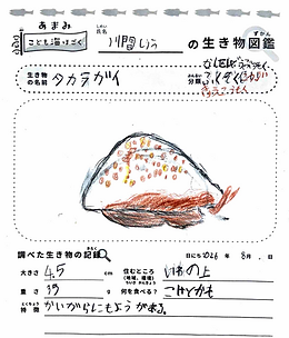 スクリーンショット 2026-09-01 10.33.21.png
