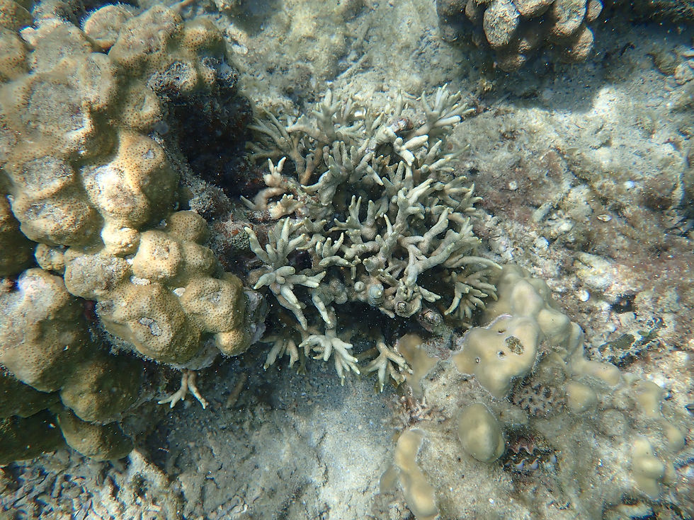 P8280115