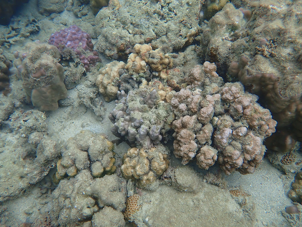 P8280112