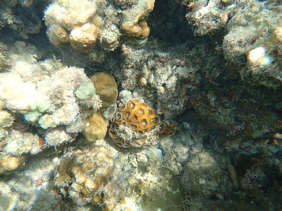 P8280367