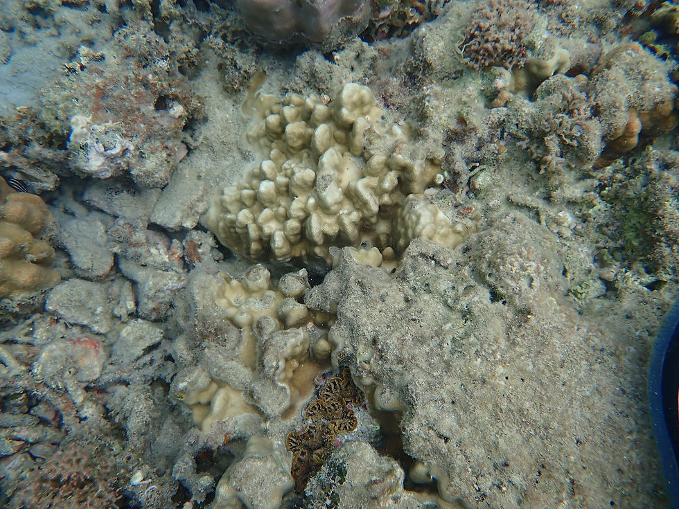 P8280108