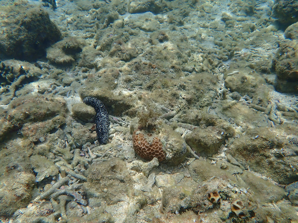 P8280122