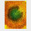Thumbnail: Sunflower's Time - Digital Print
