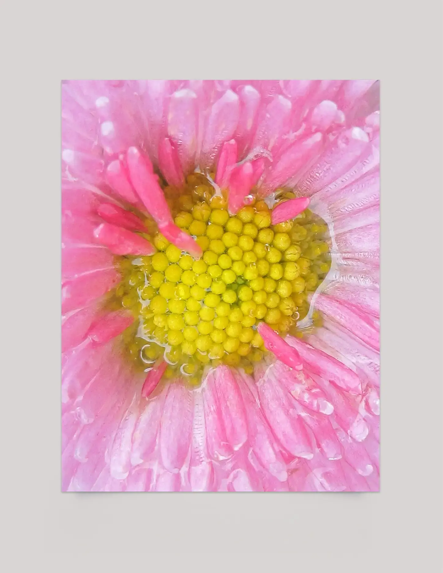 Flower's Juice - Impression d'art