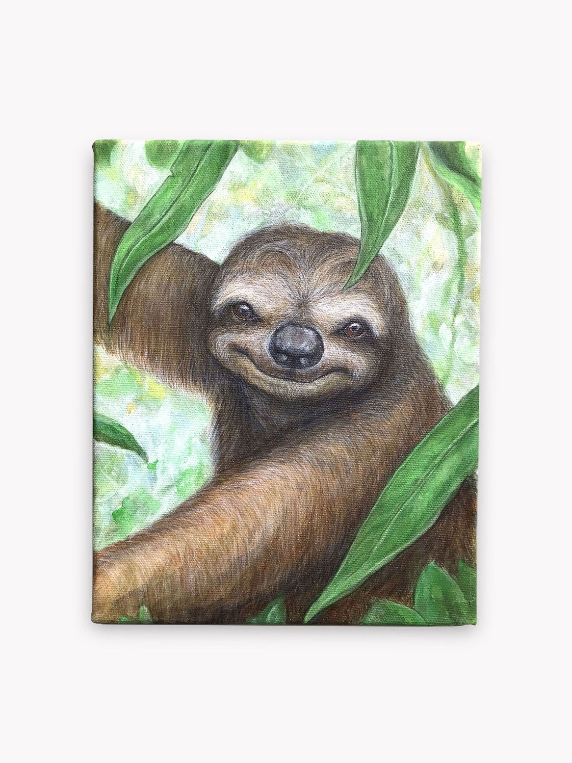 Three-Toed Sloth - Original Painting