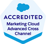 Salesforce Accredited Marketing Cloud Advanced Cross Channel