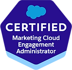 Salesforce Certified Marketing Cloud Engagement Administrator