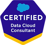Salesforce Certified Data Cloud Consultant