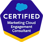 Salesforce Certified Marketing Cloud Engagement Consultant