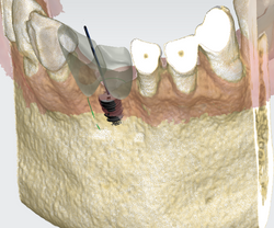 Screenshot 2025-01-15 192819