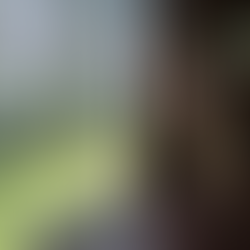 【台中逢甲大學游翰堂 X 台南三一宅 藝空間】