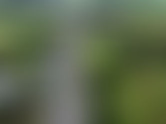 Este lunes 16 de marzo comienzan obras entre El Espino y Sajalices