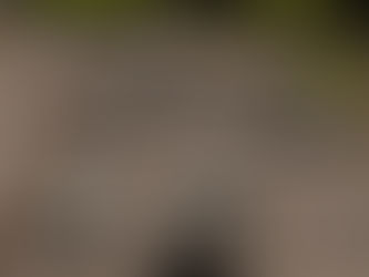 Financiamiento de autos crece en Panamá con baja morosidad en bancos, pero más presión en financieras