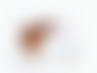 ಮೊಟ್ಟೆ ಮೊದಲು ಬಂದಿದೆಯಾ, ಕೋಳಿ?