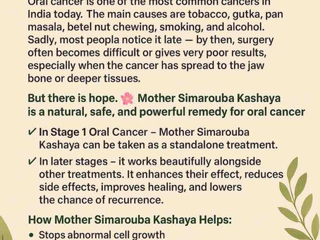 Mother Simarouba Kashaya For Oral Cancer