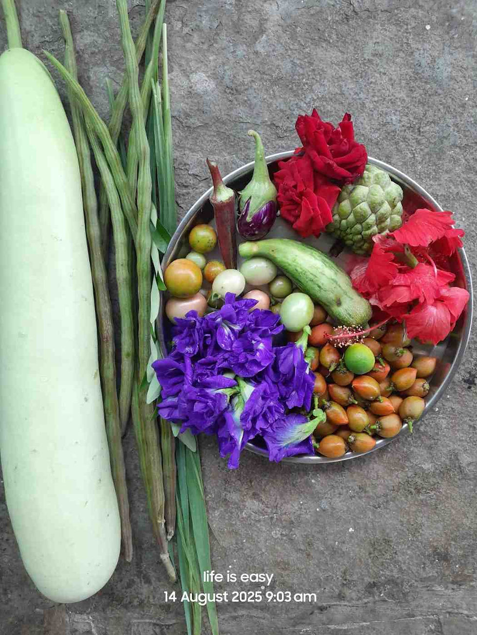 True freedom is not in hoisting a flag once a year, but in growing the food that feeds your family every day.