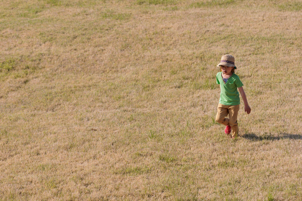 広い芝の丘を駆け降りる少年