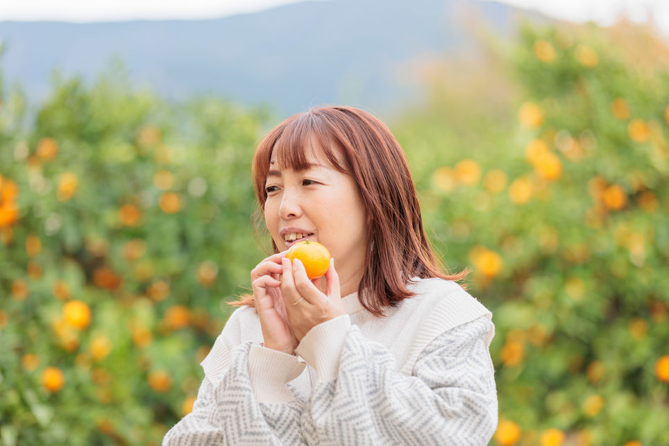みかん畑でみかんを持つ女性