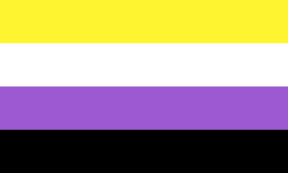 Non-Binary Pride Flag (2014)