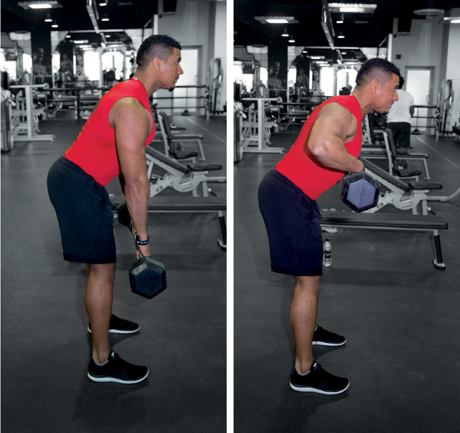 التجديف بالبار/ تمارين الانحناء ( بينت اوفر) BENT OVER ROW