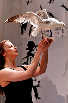 the seagull 10.jpg