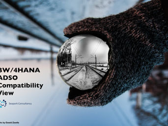 BW/4HANA ADSO Compatibility View