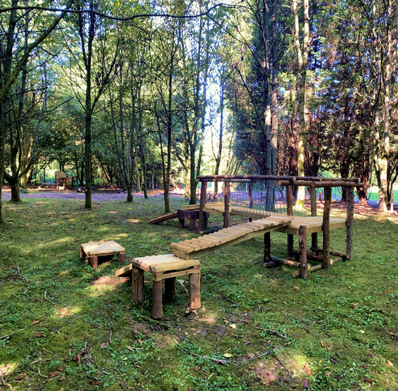 Ross & Friends Private Crate Escape Agility