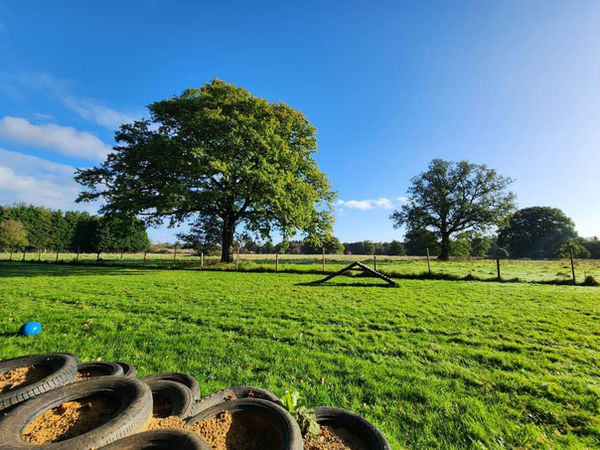 Ross & Friends Private Field