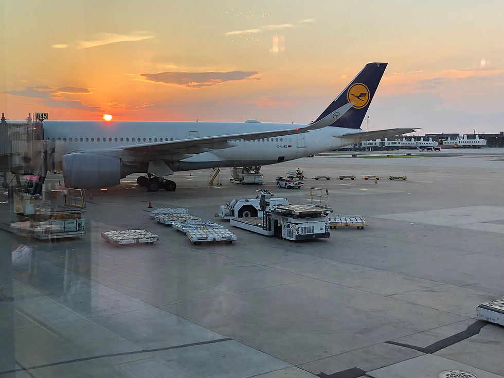 A Lufthansa plane at the airport at sunset