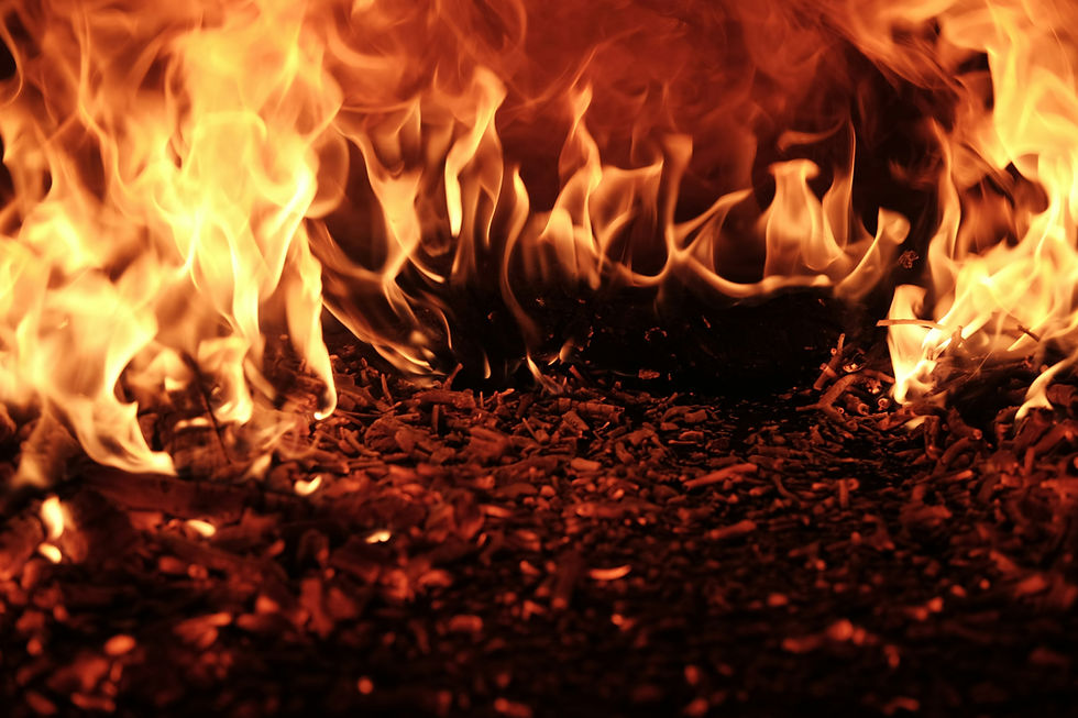 the world is on fire