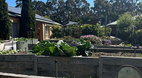 ICC view across the beds.jpg
