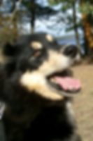 ESooke Park311_edited.JPG