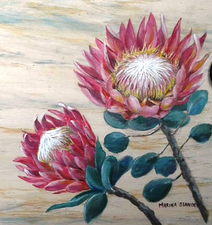 Proteas on tray close up.jpg
