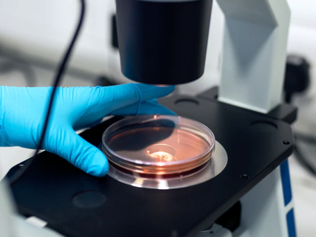 7 Surefire Tips To Secure Your Distinction for A Level Biology