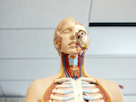 5 Best Practices To Help You Ace JC Biology Open-Ended Questions