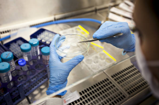 How To Score A Distinction For O Level Pure Biology